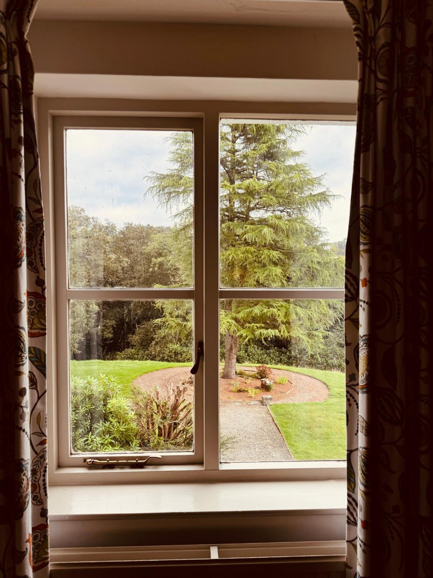 The Falcondale At Lampeter Pokój zdjęcie